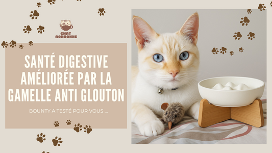 Est-ce que les gamelles anti-glouton fonctionnent ?