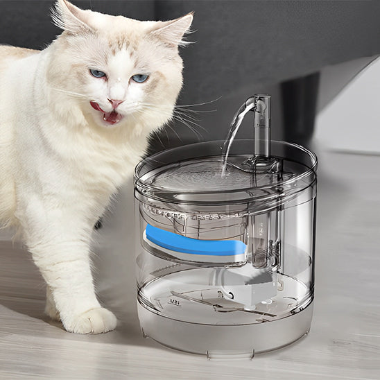 Chat Angora qui se lĂšche les babines apres avoir bu dans la fontaine a eau chat CrystalSteel
