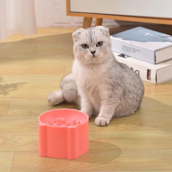 chat à cÎté Gamelles anti glouton chat CatFunBowl rose