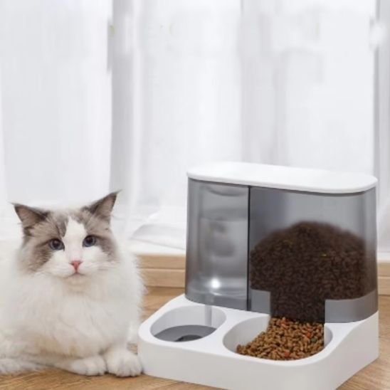Chat angora couché devant distributeur de croquettes pour chat PurrfectSupply.