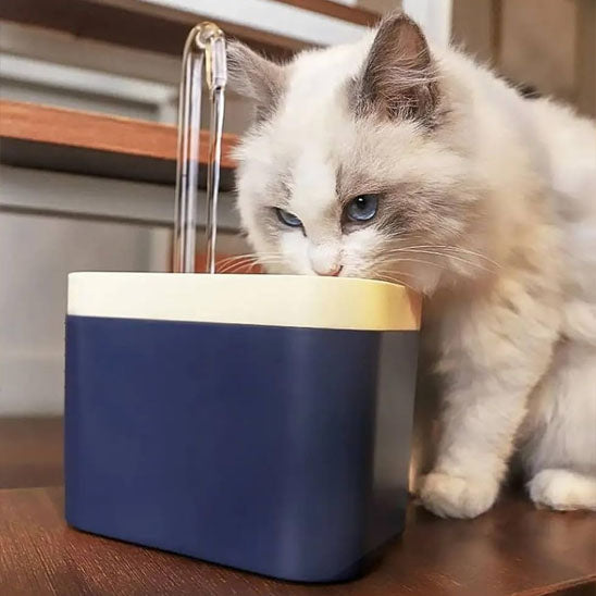 chat angora qui boit dans fontaine a eau chat Ultra QuietCatWaterFountain bleue