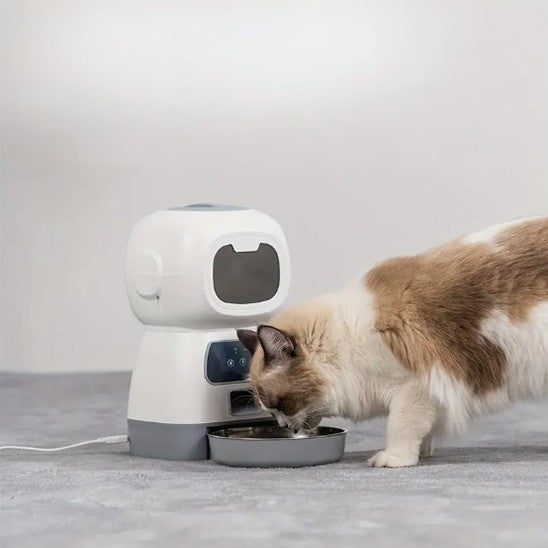 Chat angora qui mange dans distributeur croquette chat automatique FeliFeedBot