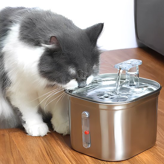 Chat blanc et gris qui boit dans la Fontaine a eau chat InoxFlow.