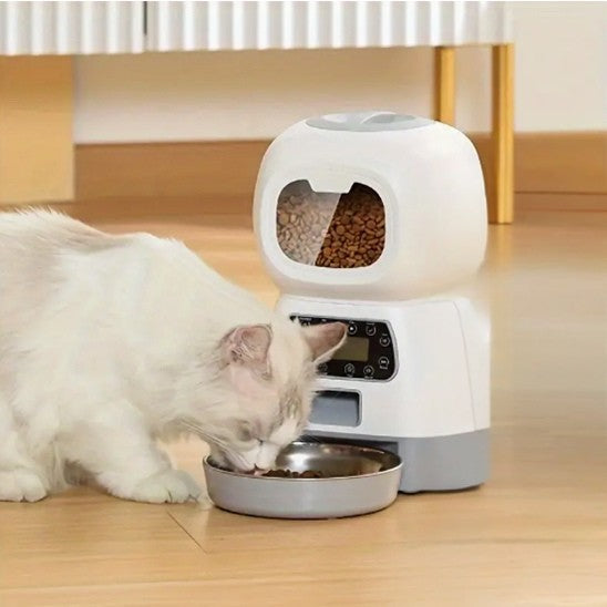 Chat blanc mange dans le distributeur croquette chat automatique FeliFeedBot