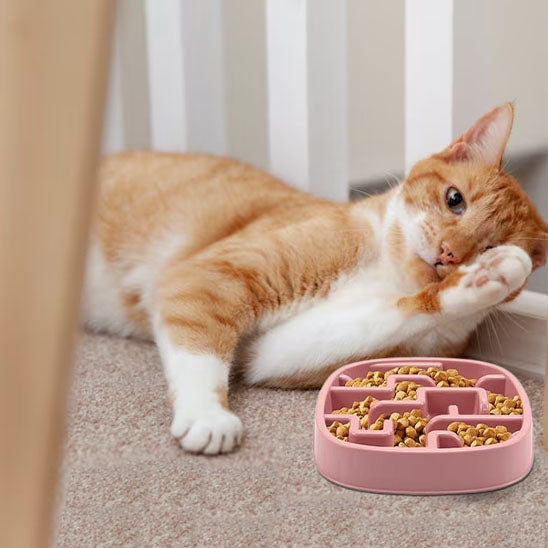 Chat couché à cÎté de sa gamelle anti glouton chat PawSlowFeeder rose