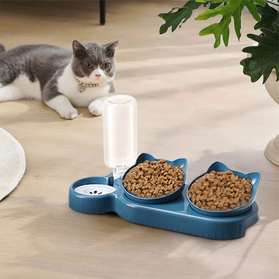 Chat couche devant gamelle chat Hydrat+Bowl bleue
