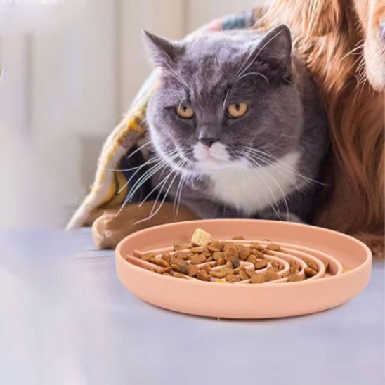 Chat devant Gamelle anti glouton chat HarmonyPlate rose