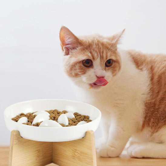 chat devant Gamelle anti glouton chat ZenBowl socle blanche