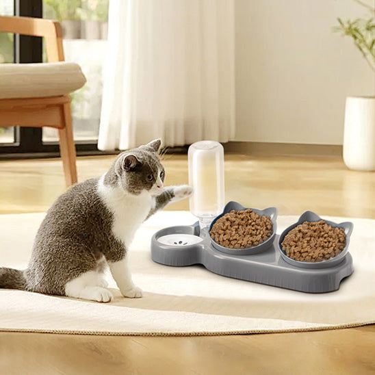 Chat devant sa gamelle chat Hydrat+Bowl grise