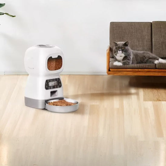 Chat gris couché sur divan avec le distributeur croquette chat automatique FeliFeedBot