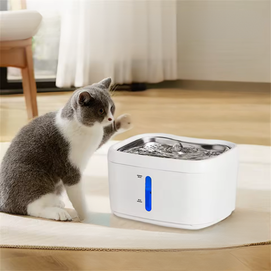 Chat gris et blanc assis devant sa fontaine a eau pour chat ConnectFlow