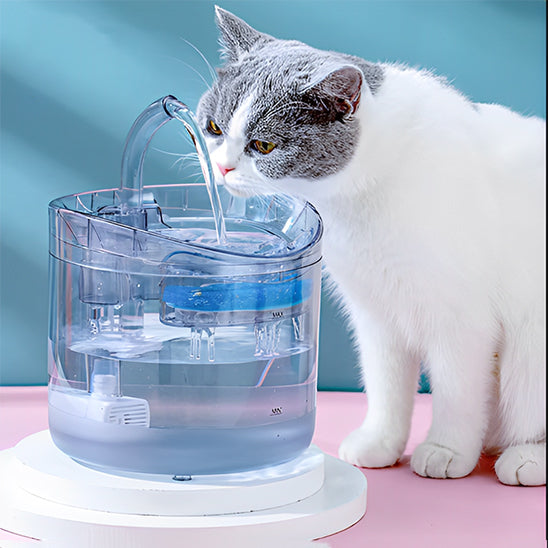 Chat gris et blanc qui boit dans sa fontaine a eau chat CrystalSteel