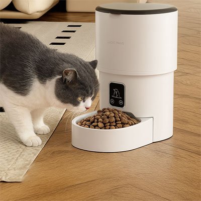 chat gris et blanc qui mange dans son Distributeur de croquettes chat ModernCat-Auto version wifi