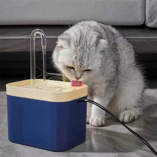 Chat gris qui boit dans fontaine a eau chat Ultra QuietCatWaterFountain bleue