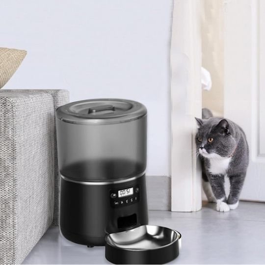 chat gris qui s’avance pour manger dans son distributeur automatique croquettes chat SmartConnect noir.