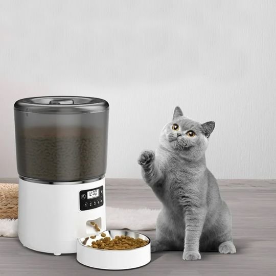 Chat gris qui salut à coté de son Distributeur automatique croquettes chat SmartConnect blanc