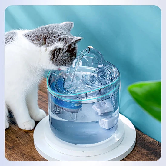 Chat heureux de boire dans sa fontaine a eau chat CrystalSteel.