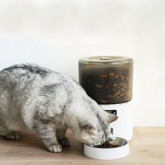 Chat qui mange dans son Distributeur automatique croquettes chat SmartConnect blanc.