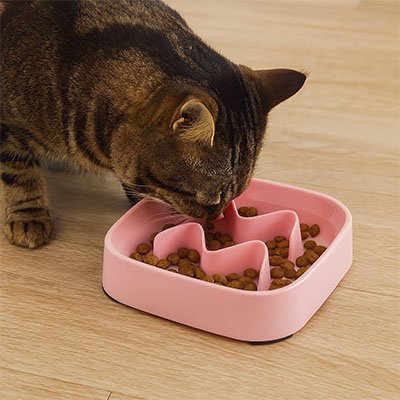Chat qui mange des croquettes avec sa Gamelle anti glouton chat FeliFit carre rose
