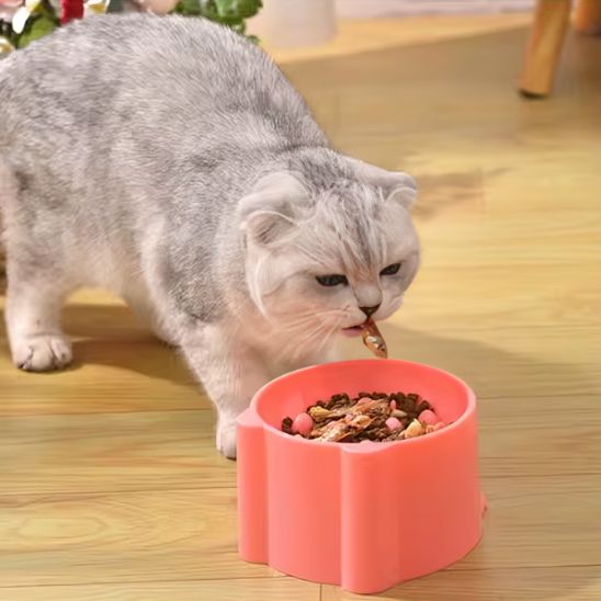 chat mange dans Gamelles anti glouton chat CatFunBowl rose