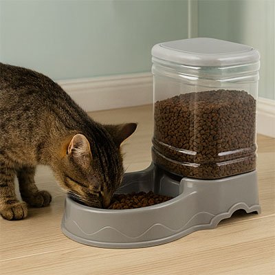 Chat mange dans distributeur croquette chat ColorMeal gris