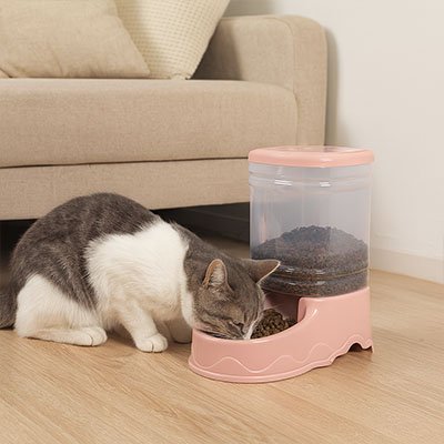 Chat gris et blanc mange dans distributeur croquette chat ColorMeal rose
