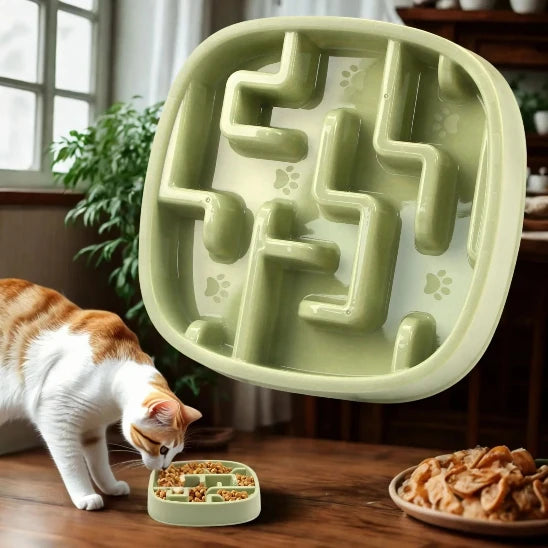 Chat mange dans Gamelle anti glouton chat PawSlowFeeder verte