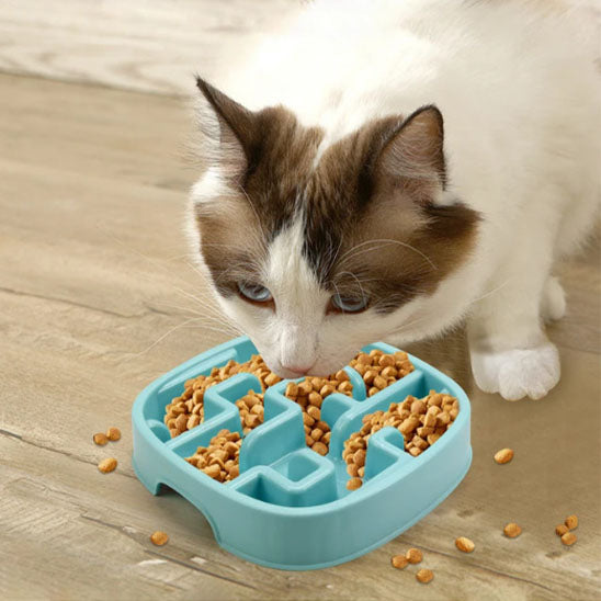 Chat mange dans sa gamelle anti glouton chat PawSlowFeeder bleue