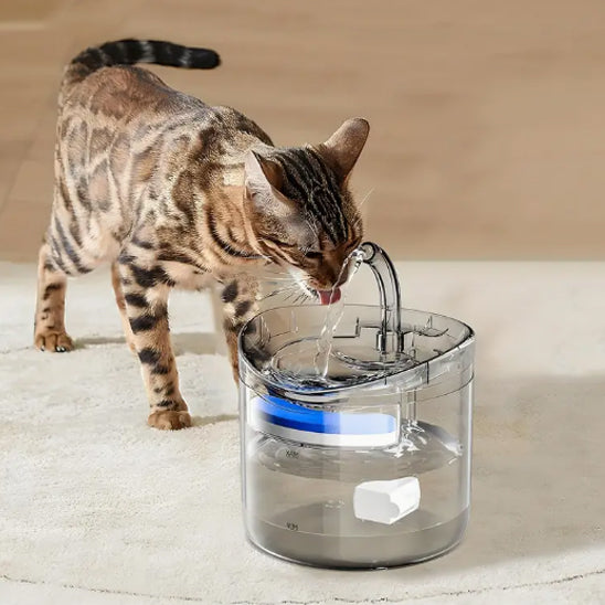 Chat marron qui boit dans la fontaine a eau chat CrystalSteel