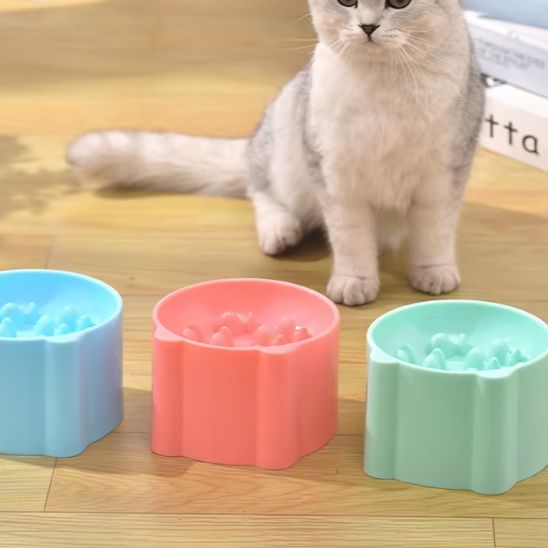 Chat présente sa gamme de Gamelles anti glouton chat CatFunBowl