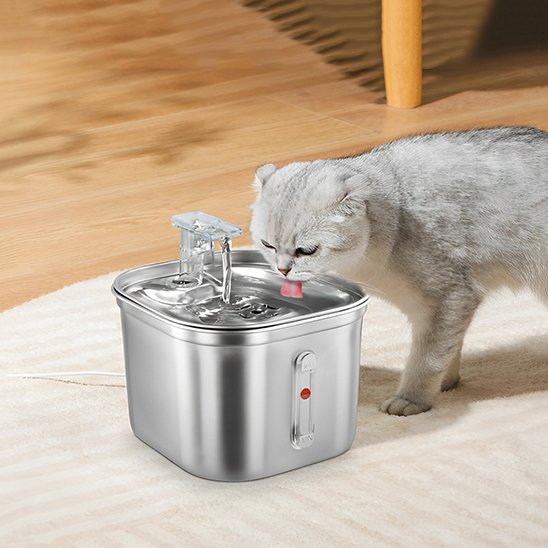 Chat qui boit dans la Fontaine a eau chat InoxFlow.