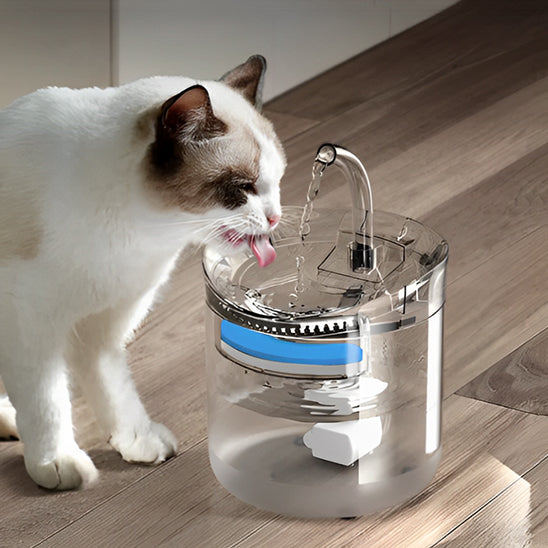 Chat qui boit dans sa fontaine a eau chat CrystalSteel