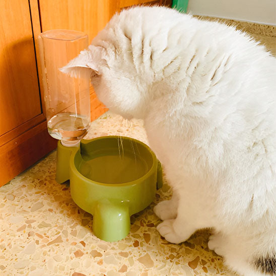 Chat qui boit dans son distributeur eau chat BottleCat vert.