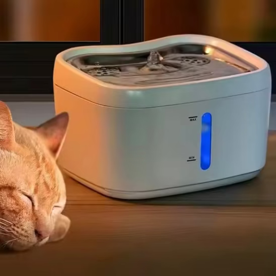 chat qui dort à cÎté de la Fontaine à eau pour chat ConnectFlow