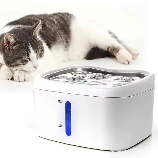 Chat qui dort derriĂšre sa fontaine a eau pour chat ConnectFlow