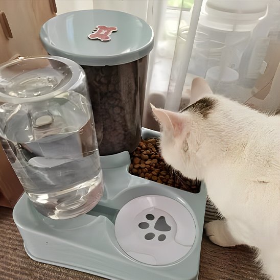Chat qui mange dans distributeur de croquettes pour chat MixFoodCat bleu clair.