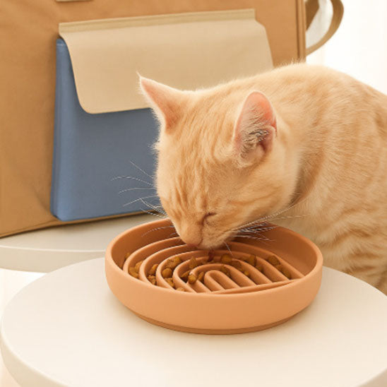 Chat qui mange dans Gamelle anti glouton chat HarmonyPlate rose