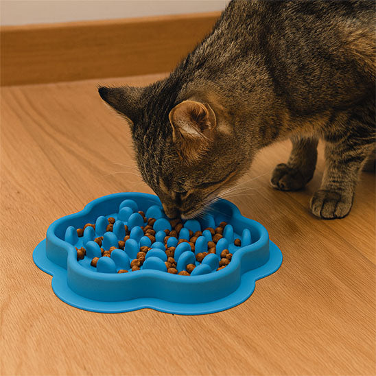Chat qui mange dans Gamelle chat anti glouton ZenPlate bleue