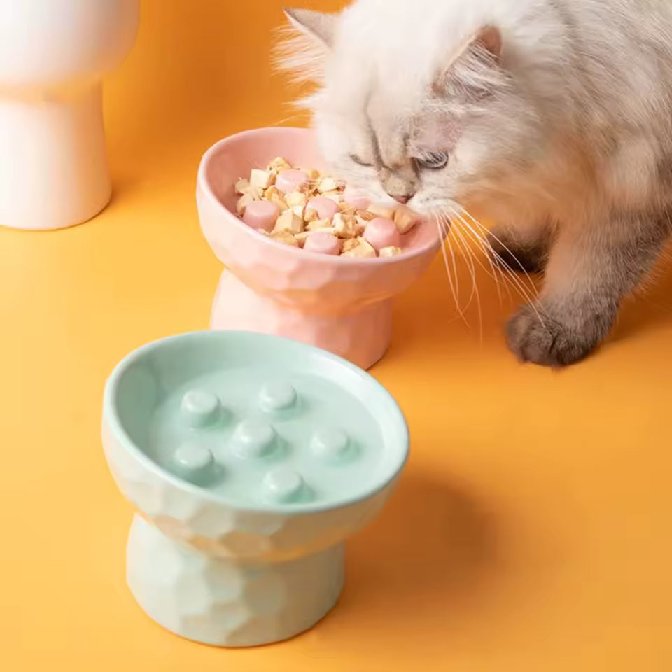 Chat qui mange dans Gamelles anti glouton chat CeraZen rose et verte