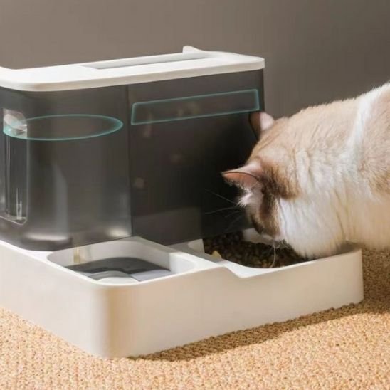 Chat qui mange dans distributeur de croquettes pour chat PurrfectSupply