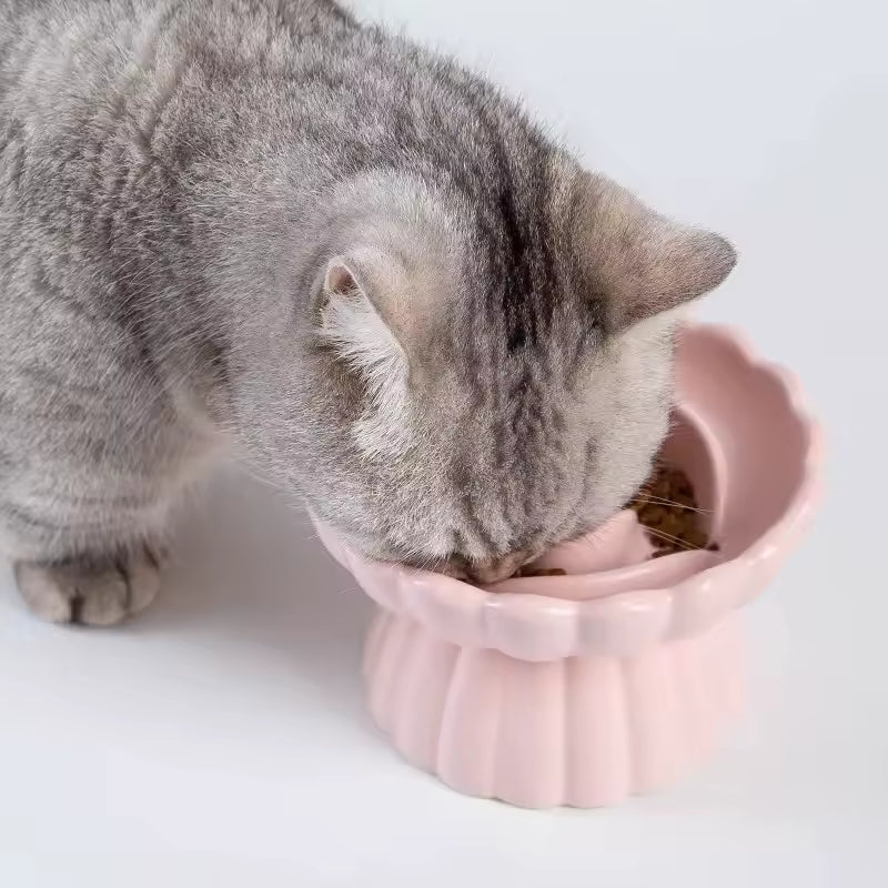 Chat qui mange dans gamelle chat anti glouton Bowl&Roses rose.