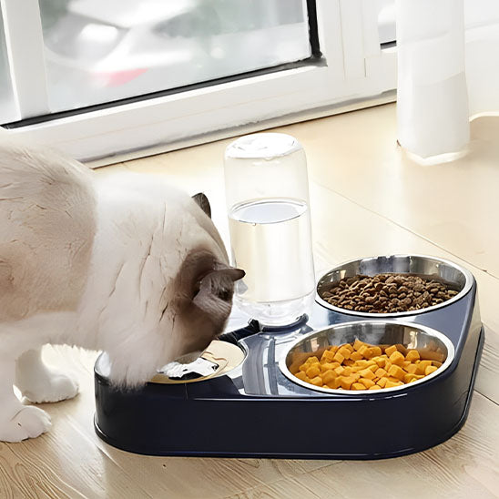 Chat qui mange dans sa gamelle chat CatSelfServiceFeeder