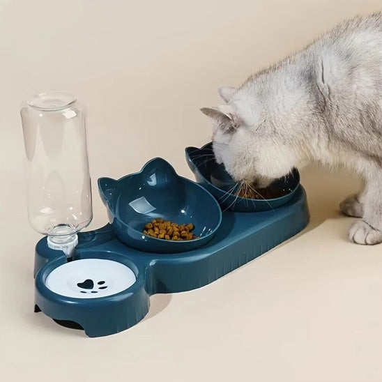 chat qui mange dans sa gamelle chat bleue