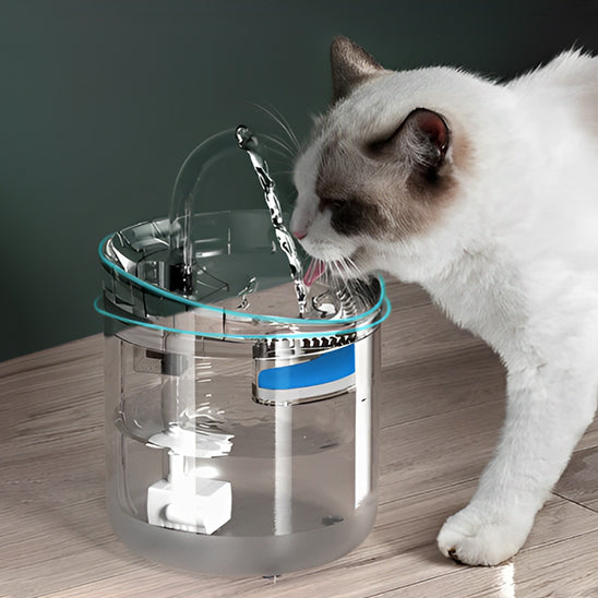 Chat qui sâhydrate avec la fontaine a eau chat CrystalSteel
