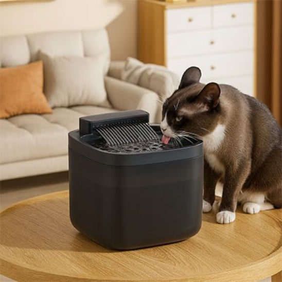 Chat qui se rafraĂźchis dans sa fontaine a eau pour chat PetWell noire.