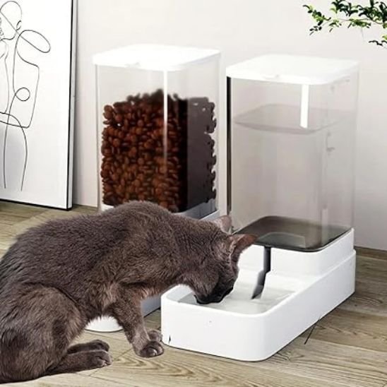 chat qui se restaure avec le distributeur de croquettes pour chat et distributeur eau Auto7days