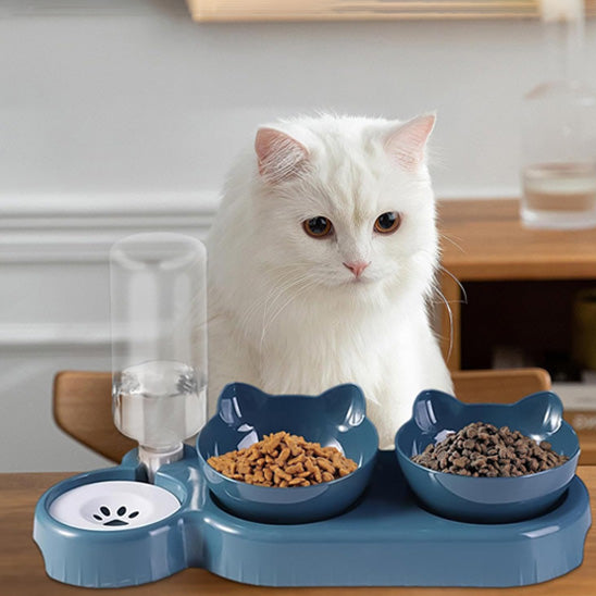 Chat regardant sa nourriture dans sa gamelle chat Hydrat+Bowl bleue