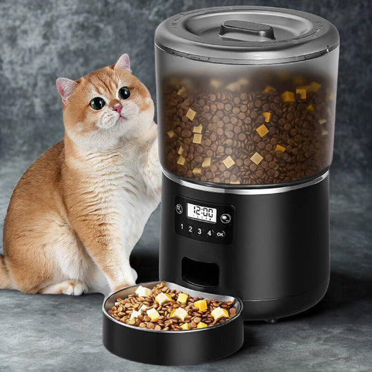 Chat roux à côté du distributeur automatique croquettes chat SmartConnect noir