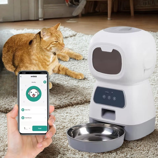 Chat roux couche avec le distributeur croquette chat automatique FeliFeedBot wifi