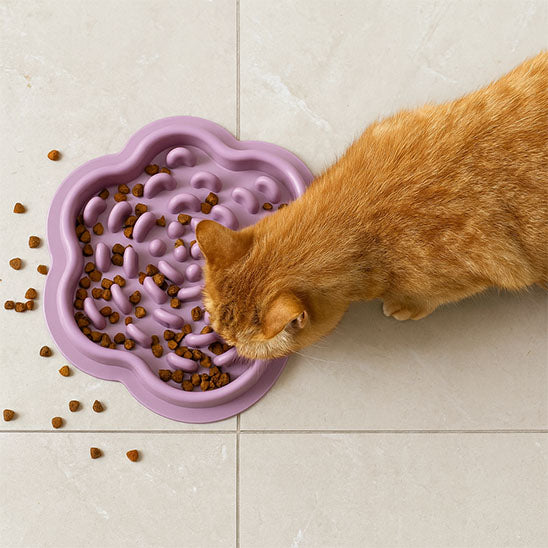 Chat roux mange dans Gamelle chat anti glouton ZenPlate parme